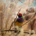 test #1