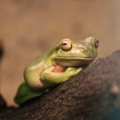 test #1