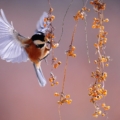 test #1